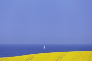 Ostsee Raps